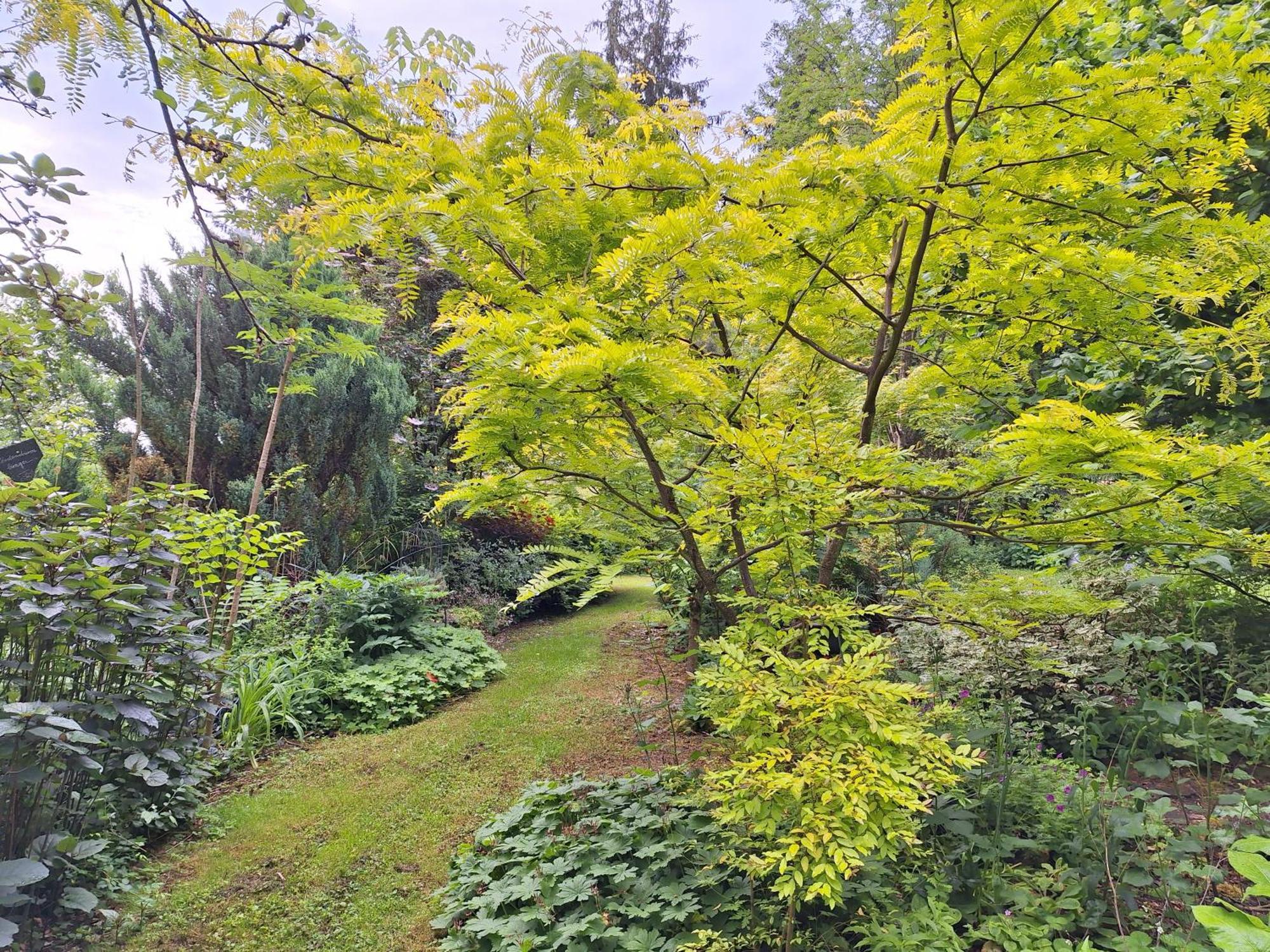 La Haie A Cerf Watronville Bilik gambar